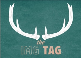 Khoảng trắng bí ẩn bên dưới thẻ img